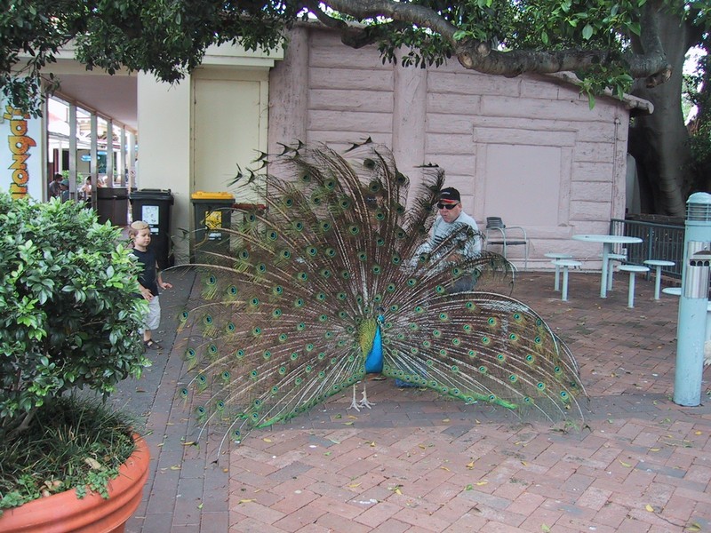 Click to see next picture