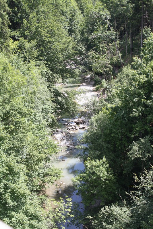Click to see next picture
